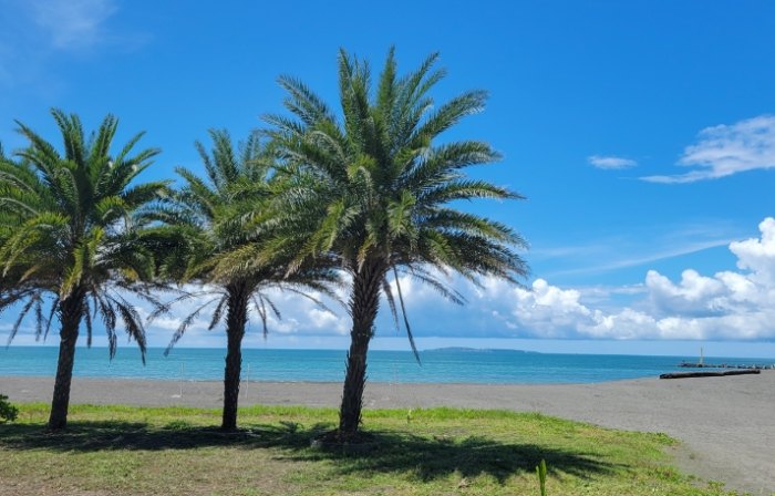 大鵬灣景點